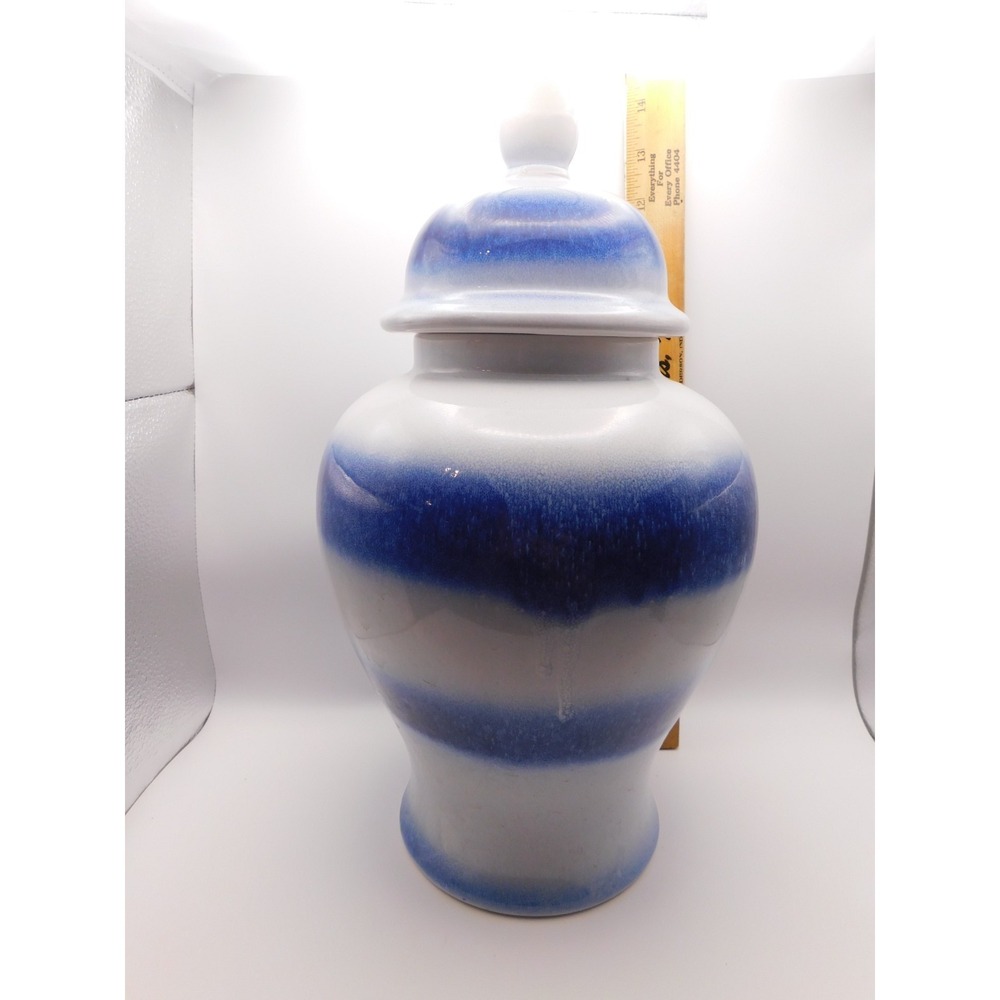 Allen and Roth Canister Ginger Jar Blue White